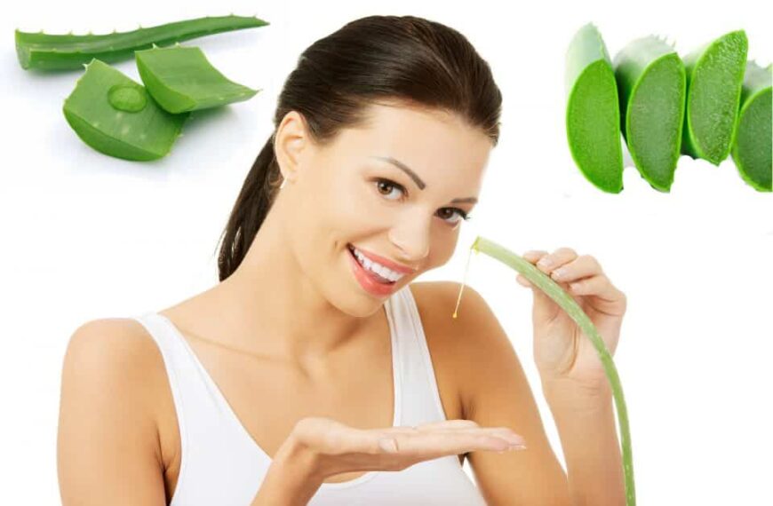mejores geles de aloe vera